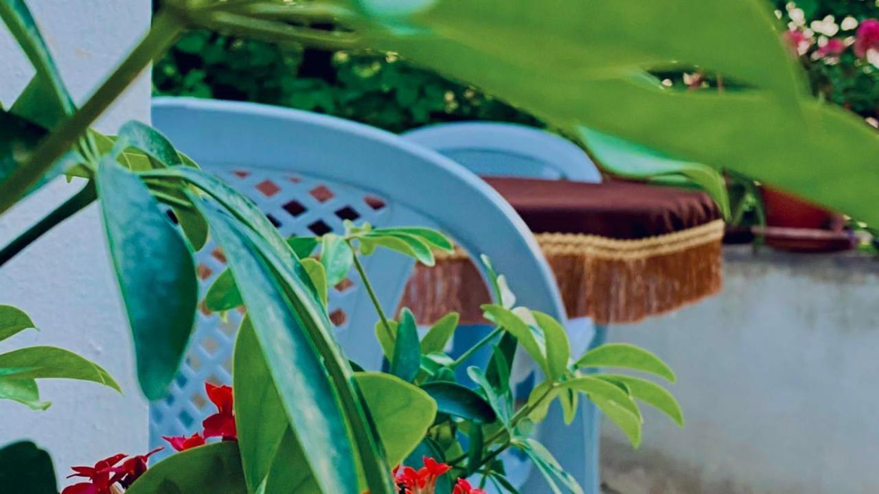 Jerash Canopy Jarash Ngoại thất bức ảnh