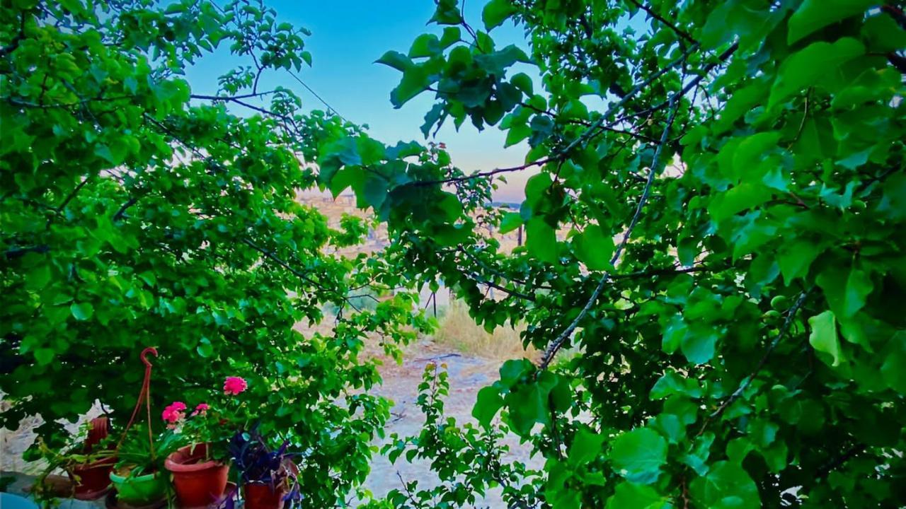Jerash Canopy Jarash Ngoại thất bức ảnh